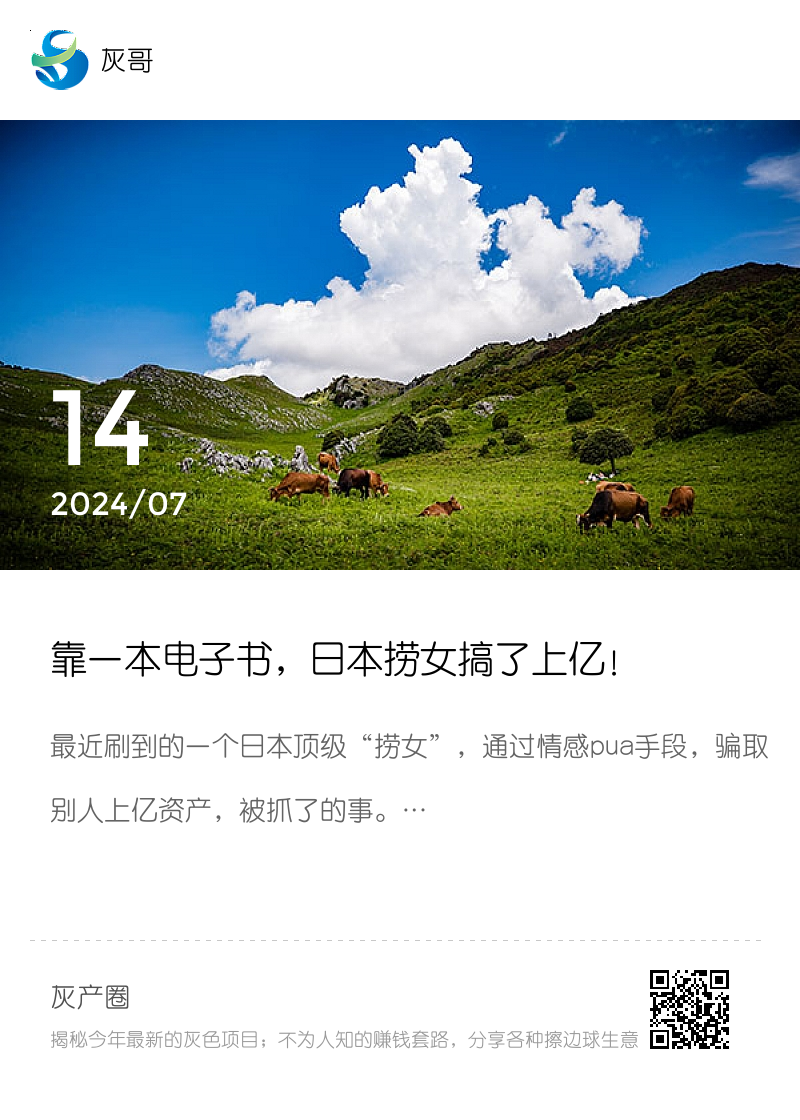 靠一本电子书，日本捞女搞了上亿！分享封面