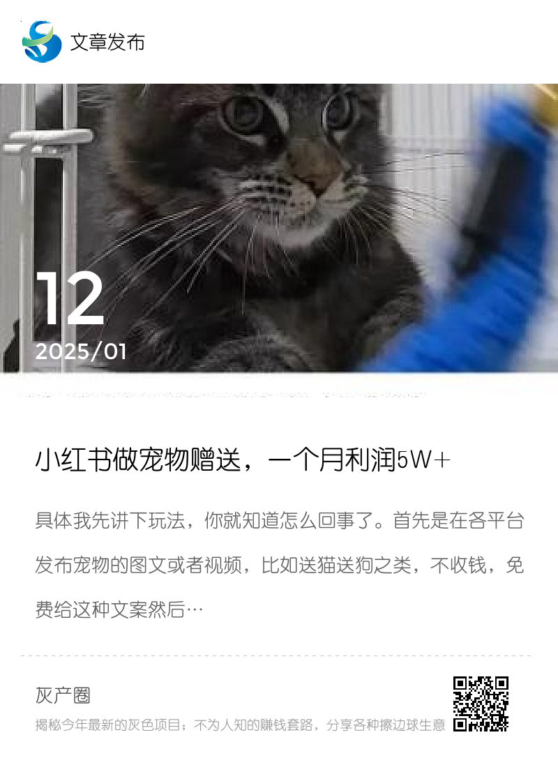 小红书做宠物赠送，一个月利润5W+分享封面