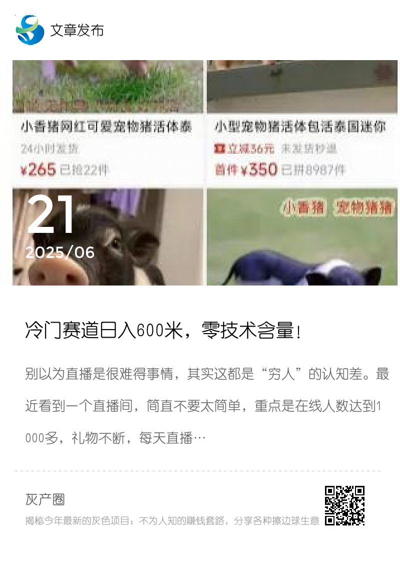 冷门赛道日入600米，零技术含量！分享封面